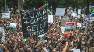 Afrique du Sud: l'extradition des Guptas promet d'&ecirc;tre complexe