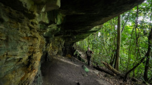 Gabon forest cave reveals clues about prehistoric central Africa  