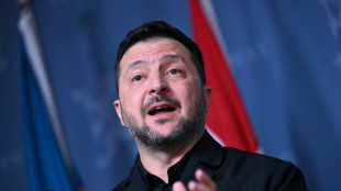 Selenskyj bef&uuml;rwortet Gespr&auml;che mit den USA und Russland "so bald wie m&ouml;glich"