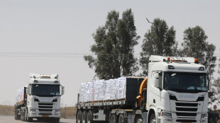 Onu, 'oggi 20 camion di aiuti entreranno nella Striscia di Gaza'