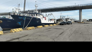 Pescherecci fermi a Pescara, 'pronti a scioperi pi&ugrave; importanti'