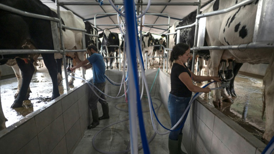 Queijo Minas &eacute; inscrito na lista do patrim&ocirc;nio imaterial da Unesco