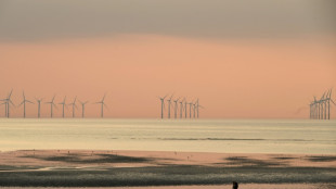 UK unveils &pound;11 bn windfarm investment by UAE, German firms