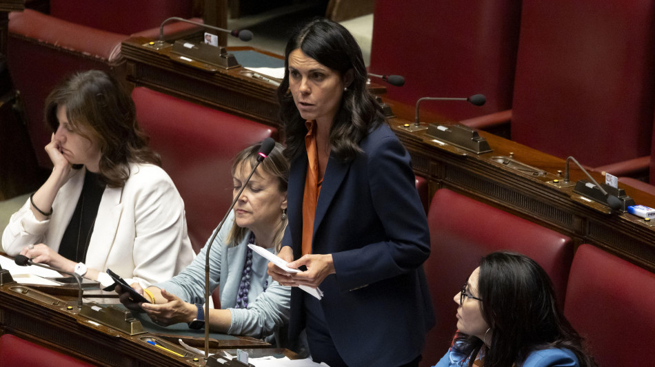 Bonaf&egrave; (Pd), nuovo decreto Albania una follia, governo si fermi
