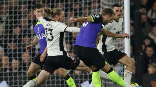 Angleterre: Tottenham tient le rythme gr&acirc;ce &agrave; un Kane record