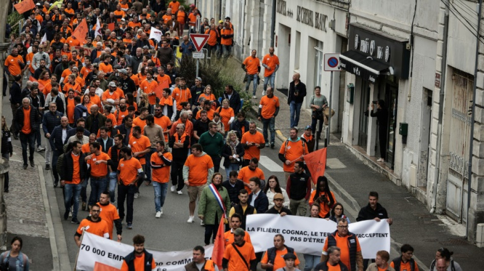 La fili&egrave;re du cognac se mobilise face &agrave; la menace de taxes chinoises