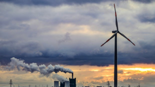 Zahl der Besch&auml;ftigen im Bereich erneuerbare Energien 2022 stark gestiegen