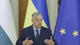 Budapest, Ue predica su diritto e sembra un film poliziesco