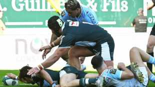 Top 14: A Pau, le leader et voisin bayonnais pas à la fête
