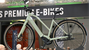 Deutlicher Absatzrückgang der Fahrradbranche - Preise 2024 spürbar gesunken