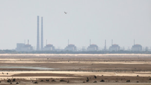 Akw Saporischschja: Reparaturen an Stromleitungen begonnen