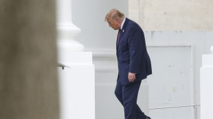 Trump, 'Bolsonaro rivendica presidenza del Brasile? Non voglio essere coinvolto'