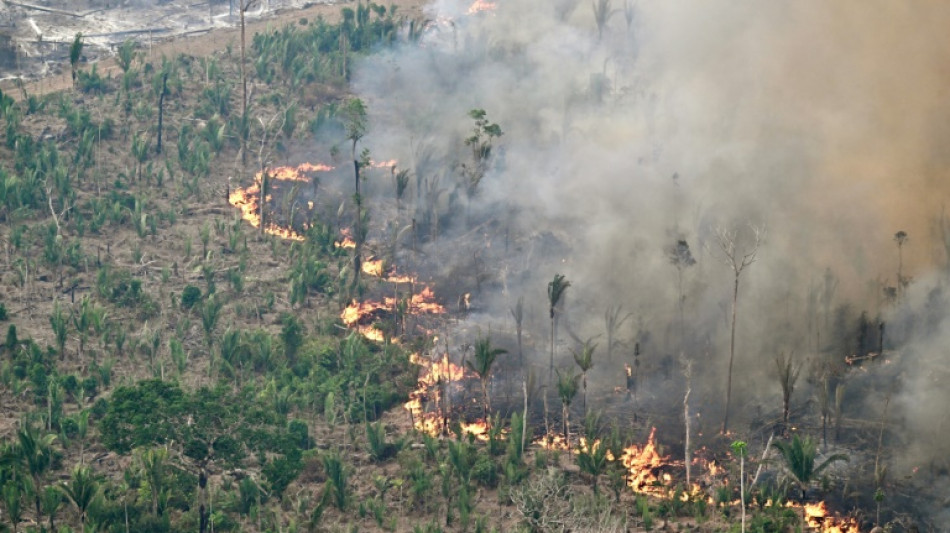 Un grupo de 17 pa&iacute;ses pide a la UE m&aacute;s di&aacute;logo ante las preocupaciones por la ley antideforestaci&oacute;n