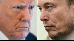 Après le divorce entre Trump et Musk, des craintes de conséquences en cascade