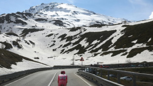 Tour d'Italie: Pogacar &eacute;crase le peloton et le peloton applaudit