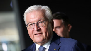 Bundespräsident bekräftigt Idee eines sozialen Pflichtdiensts "für jeden"