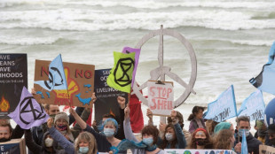 Afrique du Sud: audience à la Cour constitutionnelle dans une affaire visant Shell