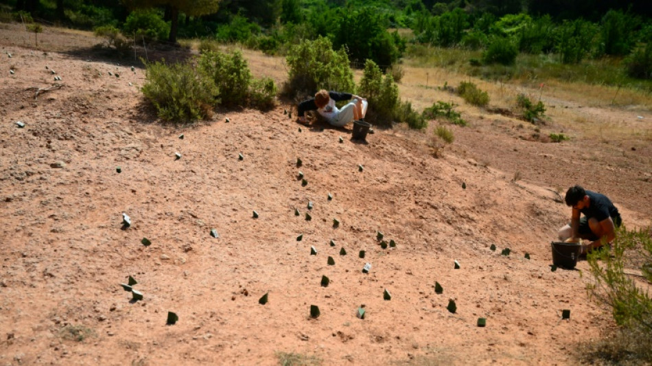Eggs en Provence: France's unique dinosaur egg trove