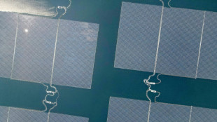 Strom f&uuml;r 50.000 Haushalte: Indonesien weiht riesige schwimmende Solarfarm ein