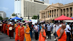 Sri Lanka bittet seine B&uuml;rger im Ausland um Geld 