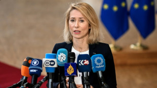 EU-Au&szlig;enminister beraten am Sonntag &uuml;ber Lage im Iran-Konflikt