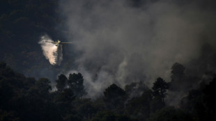 Climat: vers une ann&eacute;e record d'incendies en Europe?