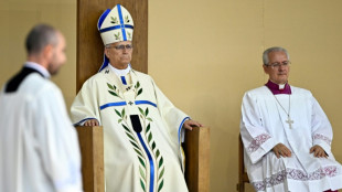 Leo XIV. feiert in Paris Messe mit 700.000 Menschen