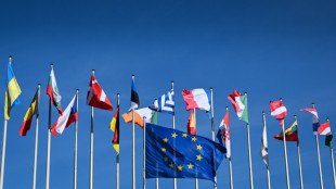 Extr&ecirc;me droite, climat, Ukraine... les grands enjeux des &eacute;lections europ&eacute;ennes