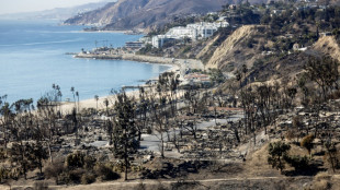 El sospechoso de iniciar un incendio en Los &Aacute;ngeles resent&iacute;a a los ricos, dicen los fiscales