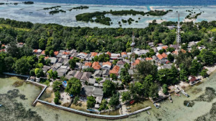 Un autre procès climatique: une île indonésienne contre le cimentier Holcim