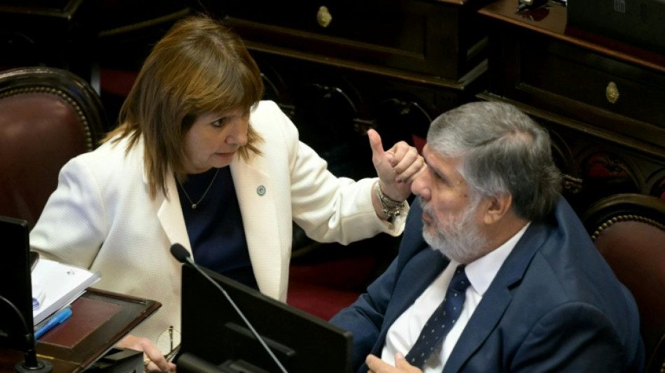 La reforma de la ley de glaciares en Argentina recibe el aval del Senado en medio de protestas de activistas