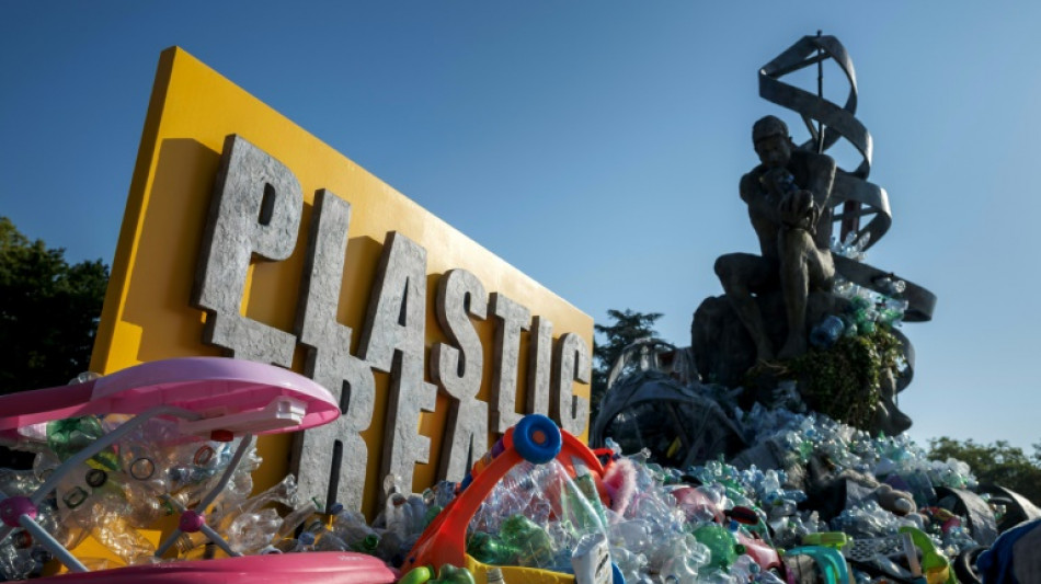 Le trait&eacute; sur le plastique "au bord du gouffre" 
