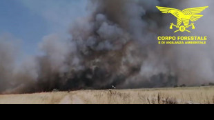 ++ Fiamme vicino all'aeroporto di Olbia, voli dirottati ++