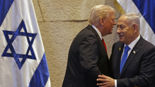Trump chiede a Herzog di graziare Netanyahu