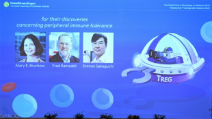 Medizin-Nobelpreis für Entdeckung von "Wächtern" des Immunsystems