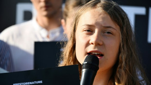 Greta Thunberg goes on trial over Swedish climate protest 