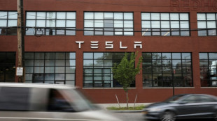 Musk gewinnt Berufung zu milliardenschwerem Gehaltspaket bei Tesla