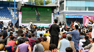 Mondial de cricket: les Afghans, "champions" malgr&eacute; la d&eacute;faite
