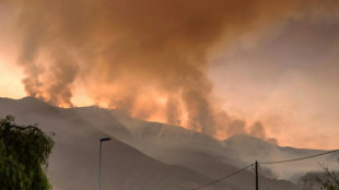 Un incendio en la isla espa&ntilde;ola de Tenerife avanza sin control