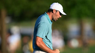 No.1 Scheffler leads by three as PGA final-round drama begins
