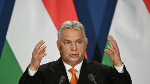 Gelder aus dem Ausland: Ungarn verschärft Regeln für Nichtregierungsorganisationen