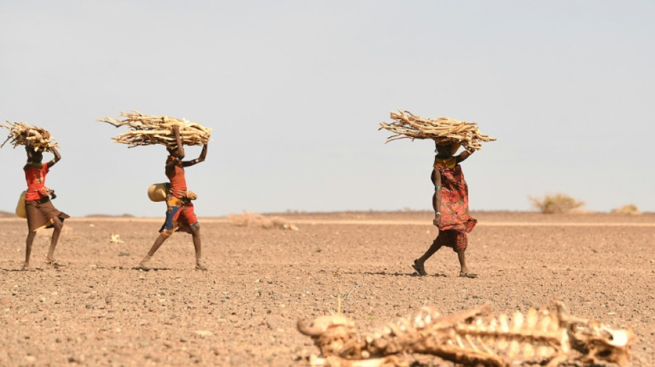 Africa facing climate impact 'nightmare': Kenyan president