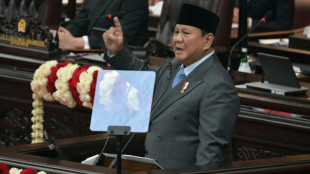 Indonesian leader vows to shut over 750 'unproductive' state-owned firms