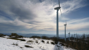 Pela primeira vez, Espanha gera mais de 50% de sua eletricidade com fontes renov&aacute;veis