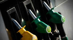 Pouvoir d'achat: l'indemnit&eacute; carburant travailleurs sera mise en place au 1er octobre (Le Maire)