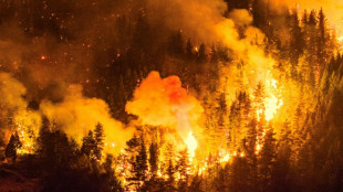 3,000 tourists evacuated as Argentine Patagonia battles wildfires