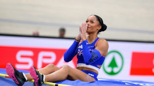 Euro d'athl&eacute;tisme en salle: m&eacute;dailles de bronze pour Bonnin et Soudril