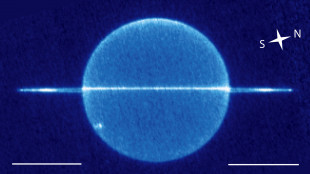 È a rischio lo status di giganti ghiacciati per Urano e Nettuno