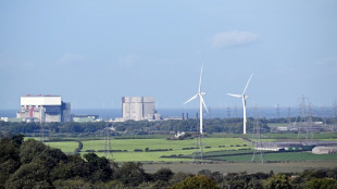 UK sees record-high electricity from renewables in 2025: study