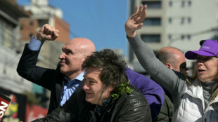 Argentina extradita a EEUU a un presunto narco que dice haber financiado a un diputado de Milei